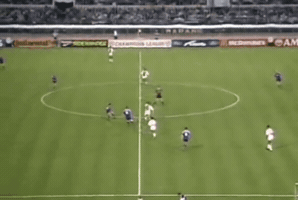 dariovismara  GIF