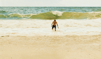 paulolionelli polnyi ulet GIF