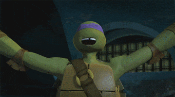 nickelodeon GIF by Teenage Mutant Ninja Turtles