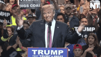 Donald Trump Election GIF by NowThis