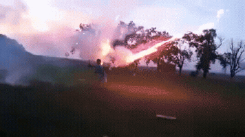 phuongtai  GIF