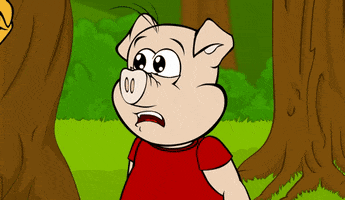 confused pig GIF by Estudios Animeco