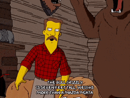 Episode 5 Bear GIF by The Simpsons