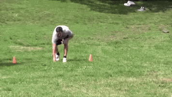 big cat spring GIF by Barstool Sports