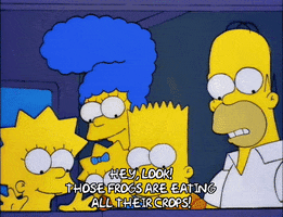 200.gif?cid=fc005b08866254f169ba0a30bfa9b92ff145e7ceabc6201d&rid=200.gif&ct=g