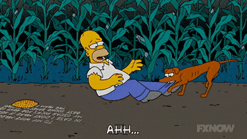 200.gif?cid=fc005b081e272e93b3a9f9fb836614ccd03d1834883d094f&rid=200.gif&ct=g
