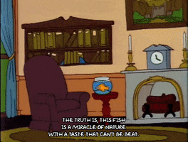 200.gif?cid=fc005b082b72806250125a7540c2e55fb90855b5628c0833&rid=200.gif&ct=g