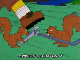 episode 14 squirrels GIF