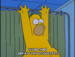 200.gif?cid=fc005b08e8b8cc654cc2d8df19dc97f8a4e4f787d694c55d&rid=200.gif&ct=g