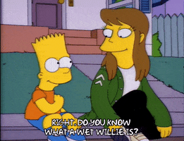 Season 4 Laura Powers GIF by The Simpsons