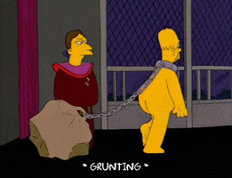 homer simpson GIF