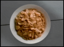 Frosted Flakes 90S GIF