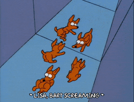 200.gif?cid=fc005b08c9be21c866a12752a7b722a45f2a627a3d8aea9d&rid=200.gif&ct=g