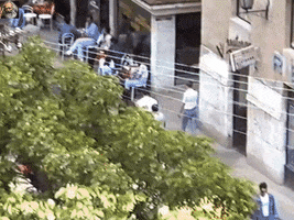 zlatkog mostar zlatko zabavnik GIF