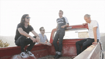 GIF by The Shelters