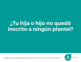 redes  GIF