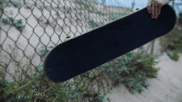 mark hoppus skateboard GIF by blink-182