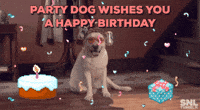 Dog Birthday Gifs Get The Best Gif On Giphy Dog Birthday Gifs Get The Best Gif On Giphy