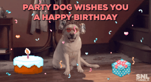 Happy Birthday Dogs Gif