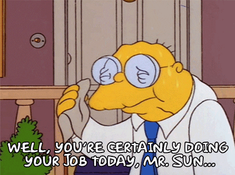The Simpsons Sun GIF - Find & Share on GIPHY