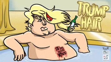 Donaldtrump GIF by Switchblade Comb Productions