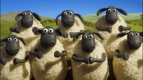 Gif s tleskajícími ovečkami. 