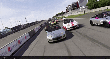 iliam  GIF