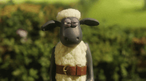 giphy.gif?cid=ecf05e47ab4w0yyy1fvu38uy6n