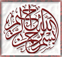 jamil  GIF