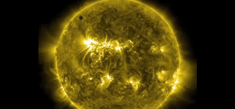 Venus Transit GIF by NASA - Find & Share on GIPHY