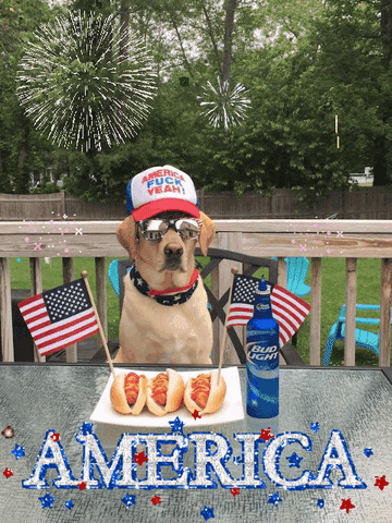 'Merica. Fuck Yeah!