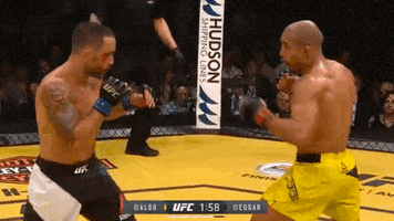 rafaelcotta ufc aldo jose aldo frankie edgar GIF