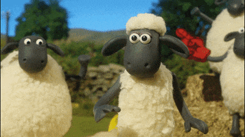 Shaun The Sheep Olympics GIF by Aardman Animations