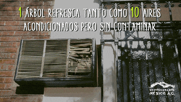 rubenhrodriguez  GIF