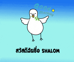 rampaiboodsabun shalom GIF
