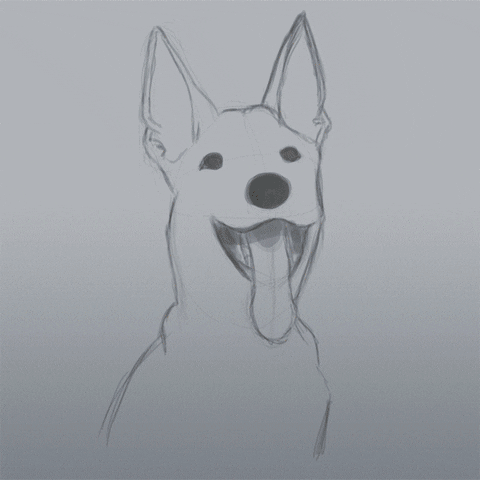 srpapachango dog illustration lego photoshop GIF