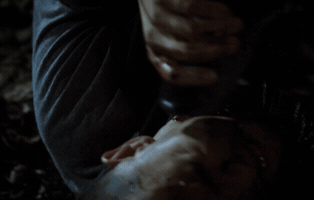 maziartaran  GIF
