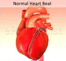 normal heart beat GIF by ePainAssist