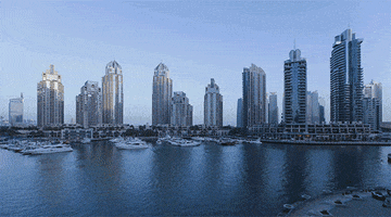 GIF by Visit Dubai