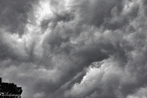 stormy weather GIF