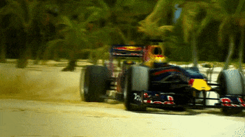 Red Bull Drink GIF by Oracle Red Bull Racing