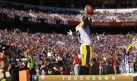 NFL football nfl touchdown pittsburgh steelers GIF