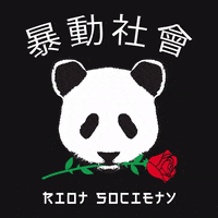 Panda Love GIF by Riot Society