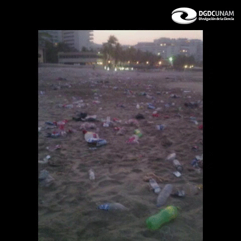 dgdcunam playa mã©xico mÃ£Â©xico basura GIF