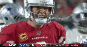 Arizona Cardinals Hug GIF by NFL