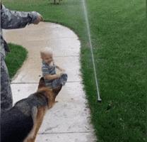 hypescience  GIF