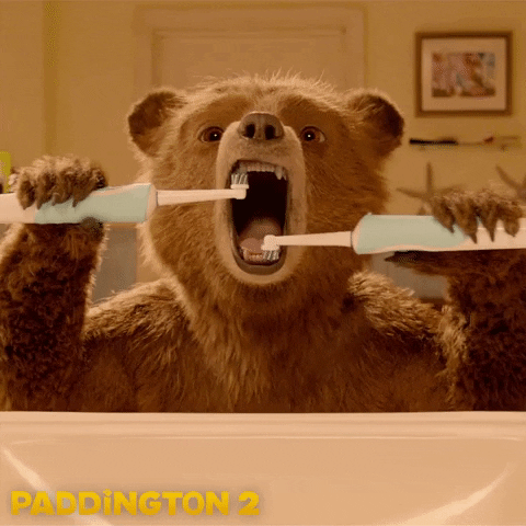 Teeth Getting Up GIF by Paddington Bear - Find & Share on GIPHY