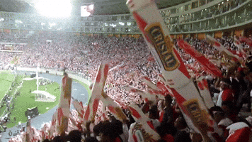 snp_peru peru barra GIF