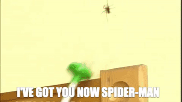 Spidercatcher GIF