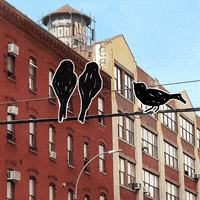 illustration photography GIF by Samsung Mobile